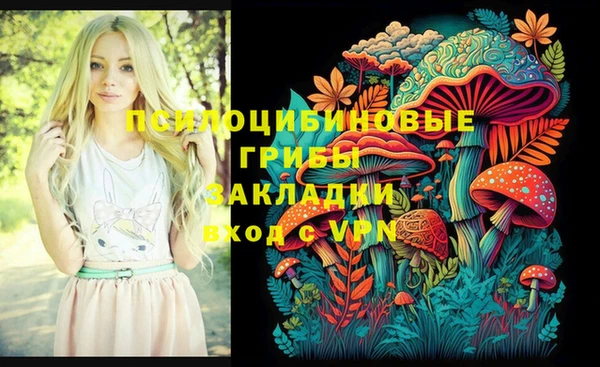 прущие крисы Надым